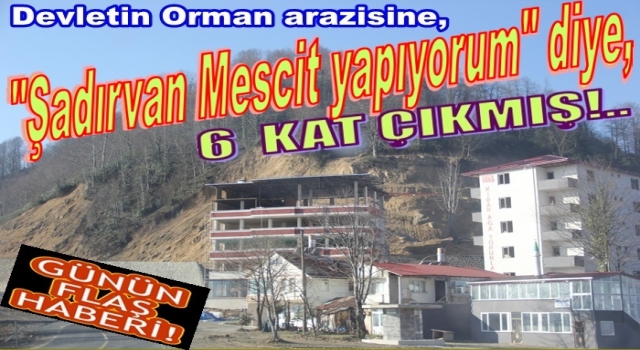 ŞADIRVAN VE MESCİT  YAPIYORUM DİYE, ORMANA KAÇAK 6  KATLI BİNA DİKTİ..